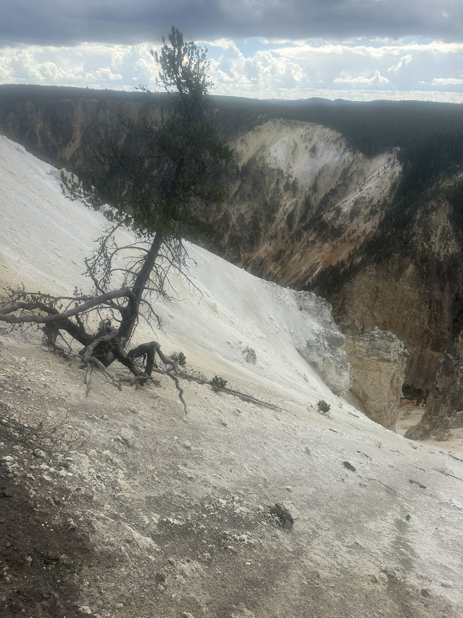 Yellowstone And Grand Teton National Parks - Image 605